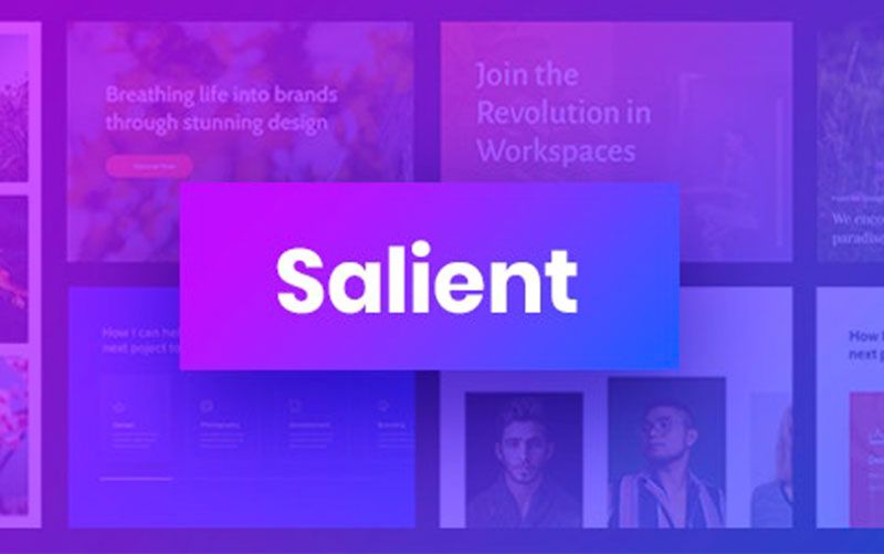 Salient Theme